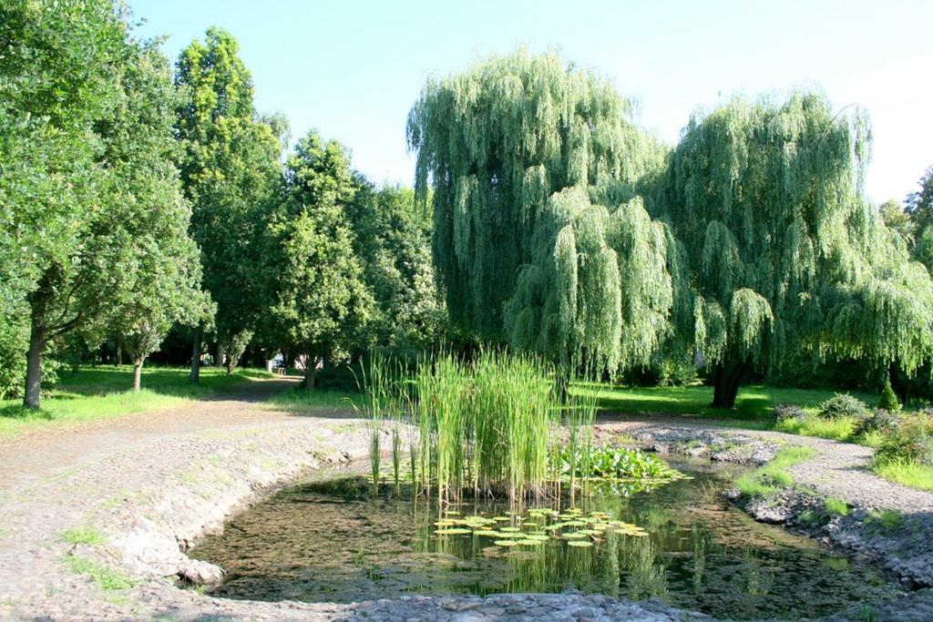 Hotel Odr Sulechów Buitenkant foto